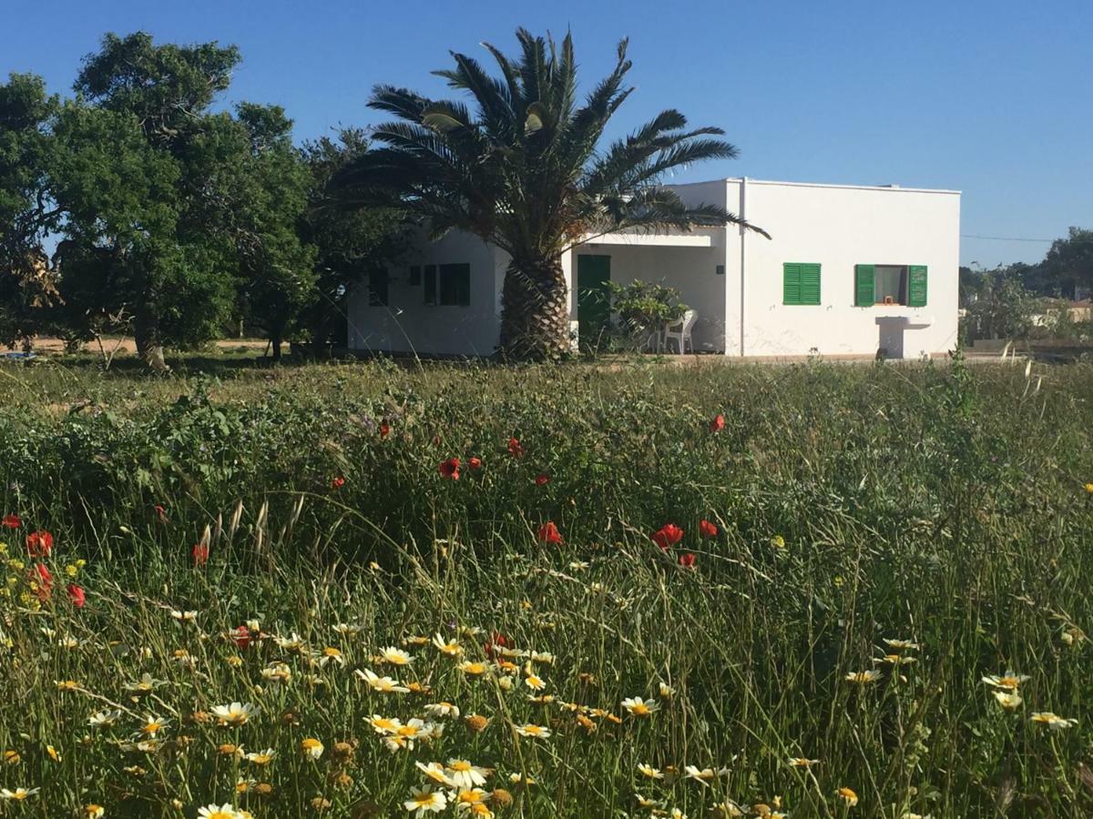 Es Magraner Villa Cala Saona Buitenkant foto